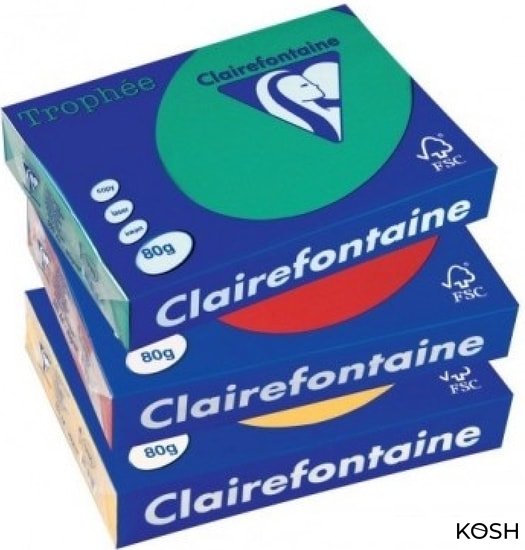 

Бумага Clairefontaine Trophee Intensive A4 (80 г-м2)(500л) 1976 голубой