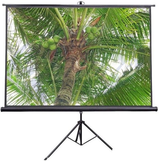 

Экран на треноге Future Vision Tripod 200 (200x200)(T200SMW)