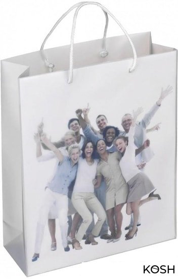 

Пластиковый пакет со вставкой средний XEROX Carrier Bag, 260x323x100мм 50 шт. 003R98796