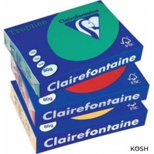 Бумага Clairefontaine Trophee Intensive A4 (80 г-м2)(500л) 1875 ярко-зеленый